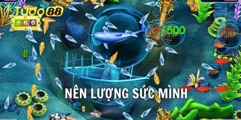 Nên lượng sức để săn cá luôn hoàn hảo