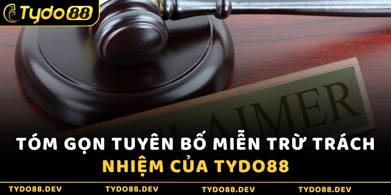 Tóm gọn tuyên bố miễn trừ trách nhiệm của Tydo88